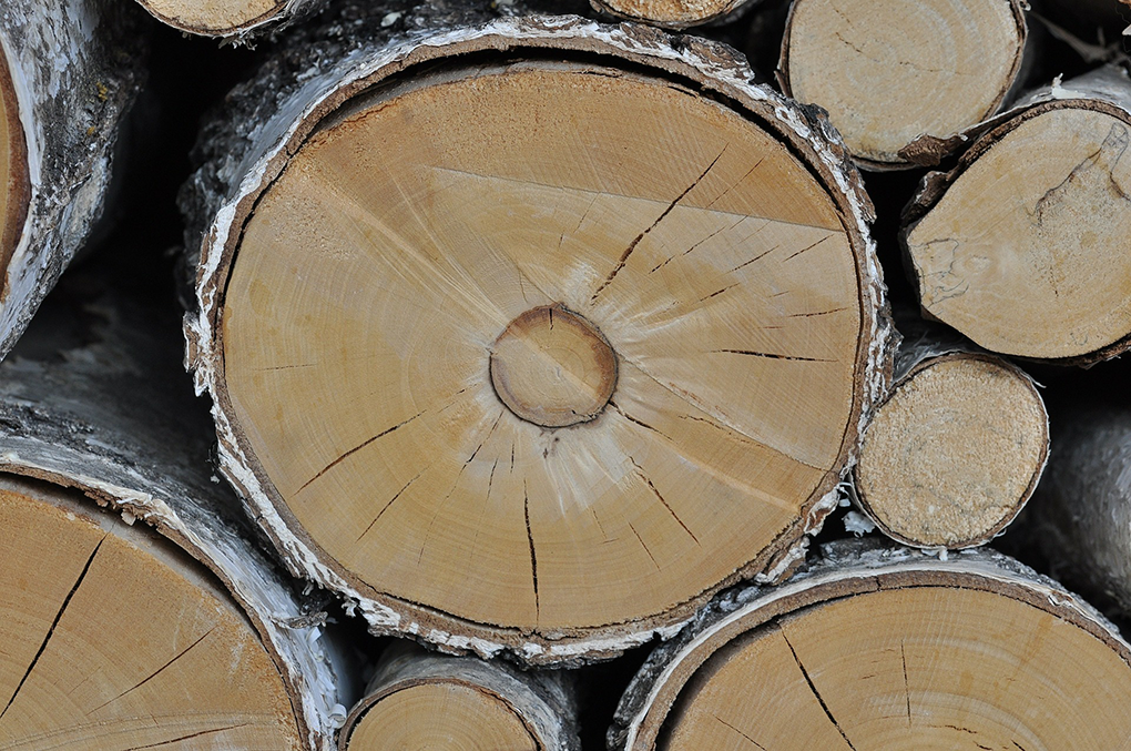 wood-498736_1920.png