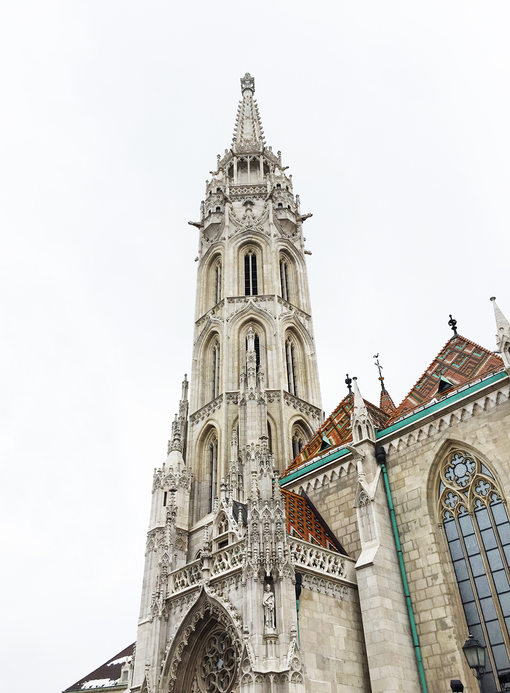 1020-IMG_2884-copy.jpg
