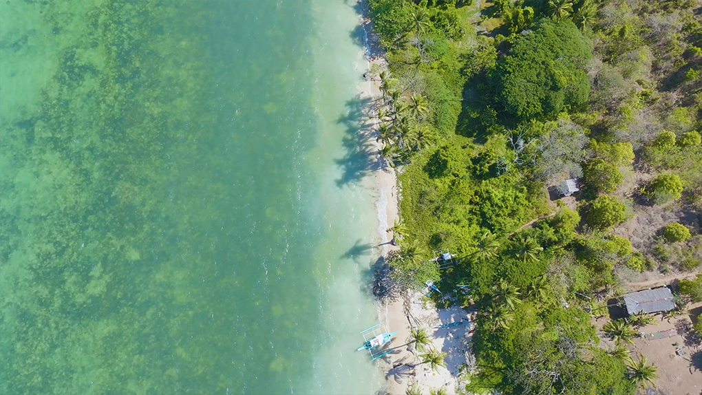 2024_CORON.mp4_20241212_111252.751.jpg