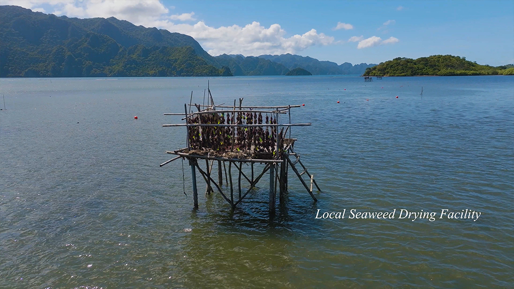 2024_CORON.mp4_20241212_111252.751.jpg