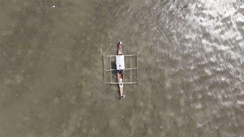 2024_CORON.mp4_20241212_111252.751.png